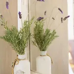 Villa Agapi - Spacious Boutique With Private Pool Close To The Sea *